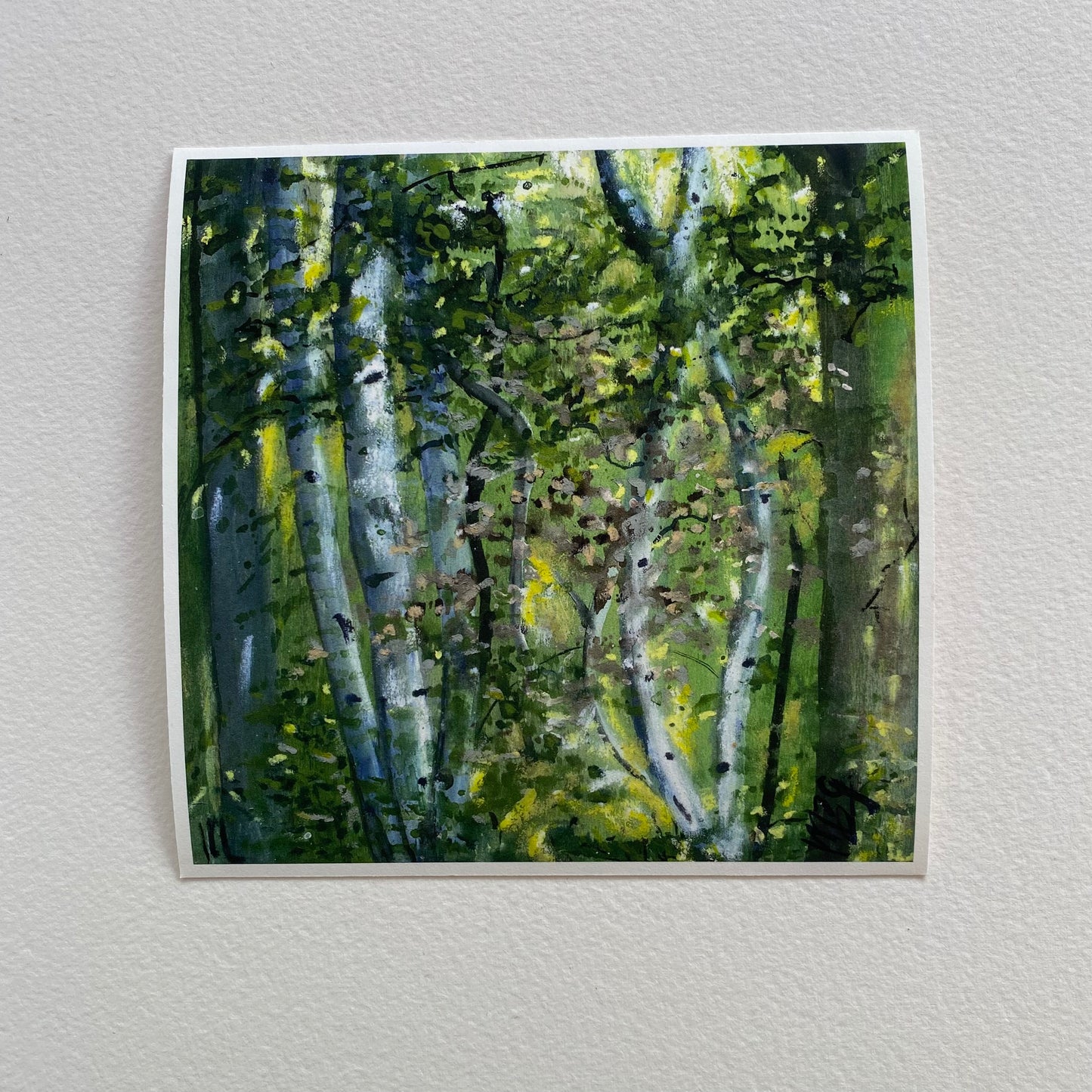 6x6 Art Print of Aspens.