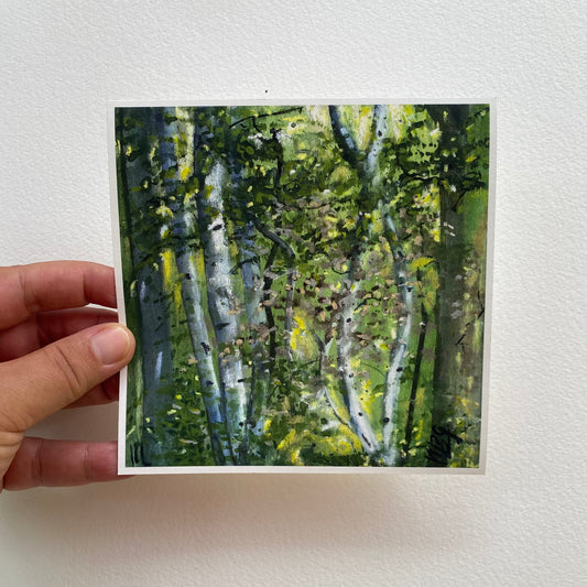 6x6 Art Print of Aspens.