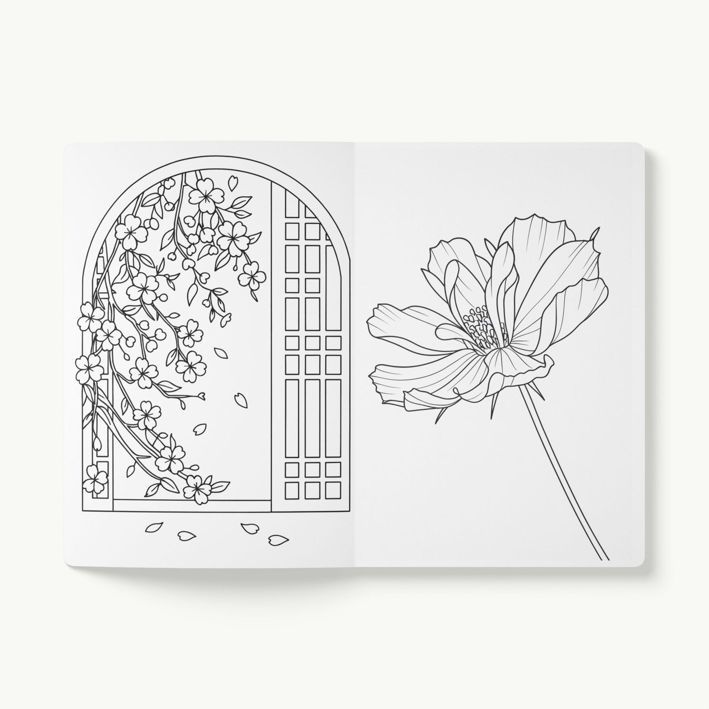 Beautiful Chaos - Soft Cover Lined Journal with Coloring Pages